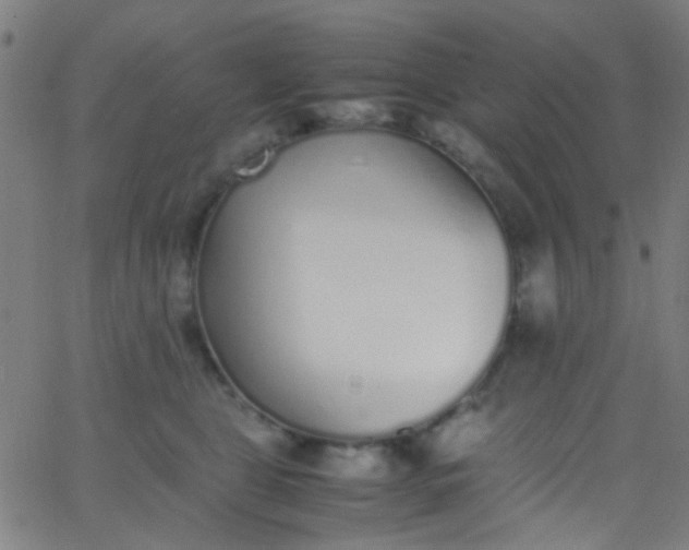 X0000067950469200604272104