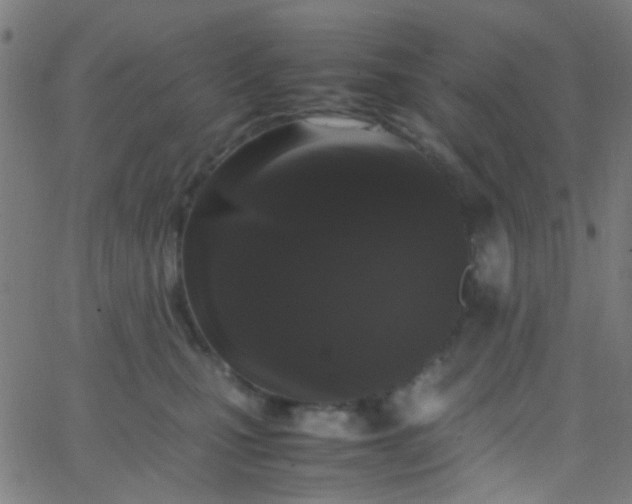 X0000067950471200604272104