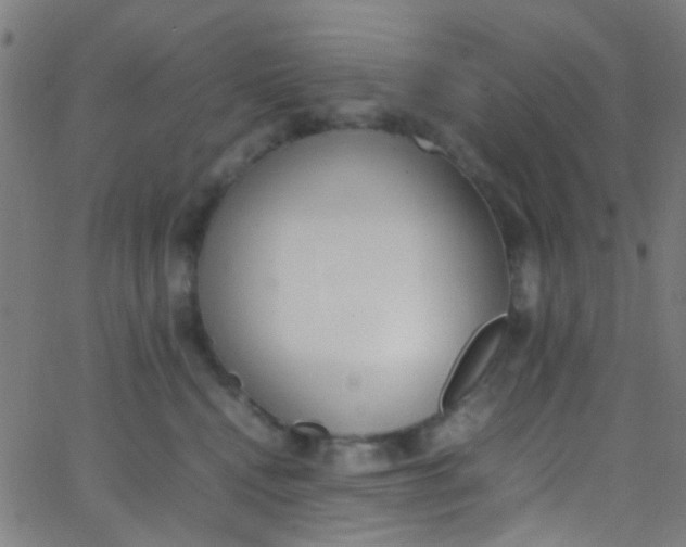 X0000067950472200604272104