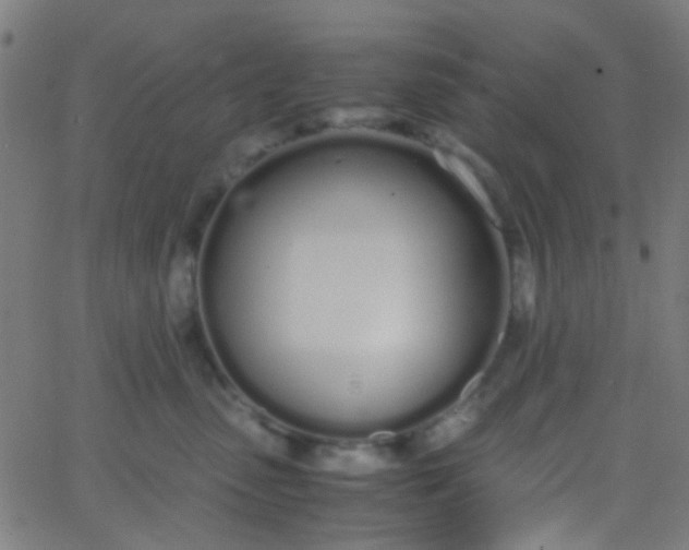 X0000067950475200604272104