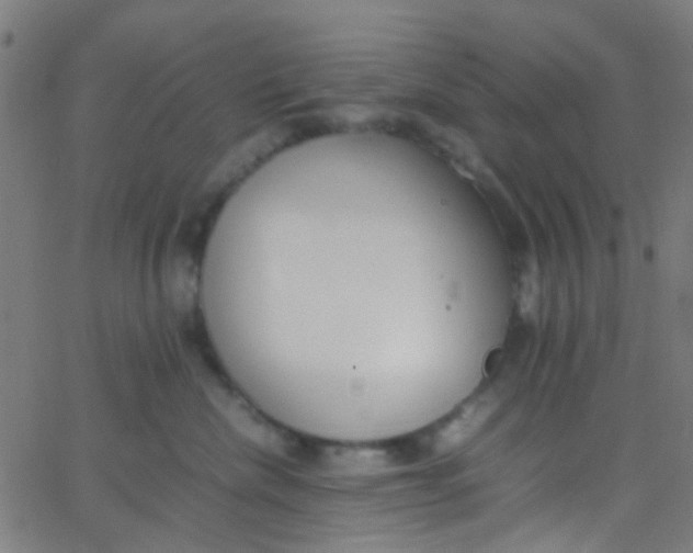 X0000067950476200604272104