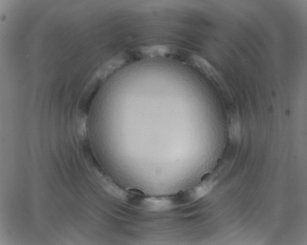 X0000067950477200604272104