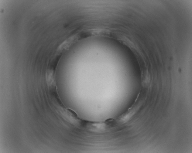 X0000067950478200604272104