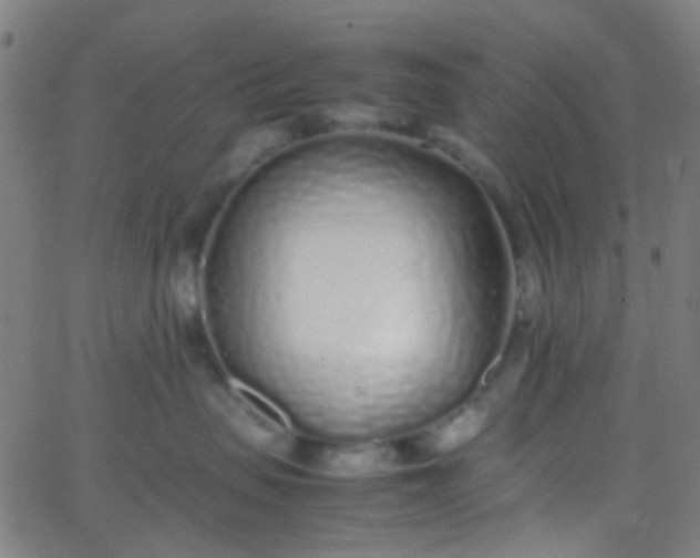 X0000067950479200604272104