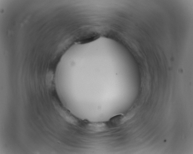 X0000067950480200604272104