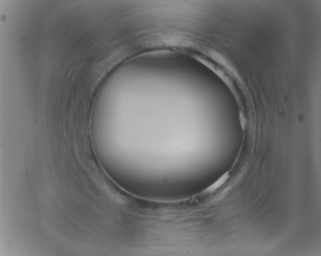 X0000067950481200604272103