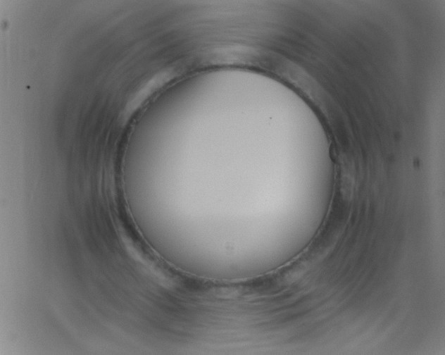 X0000067950482200604272103