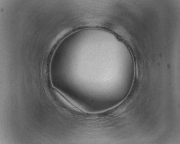 X0000067950483200604272103