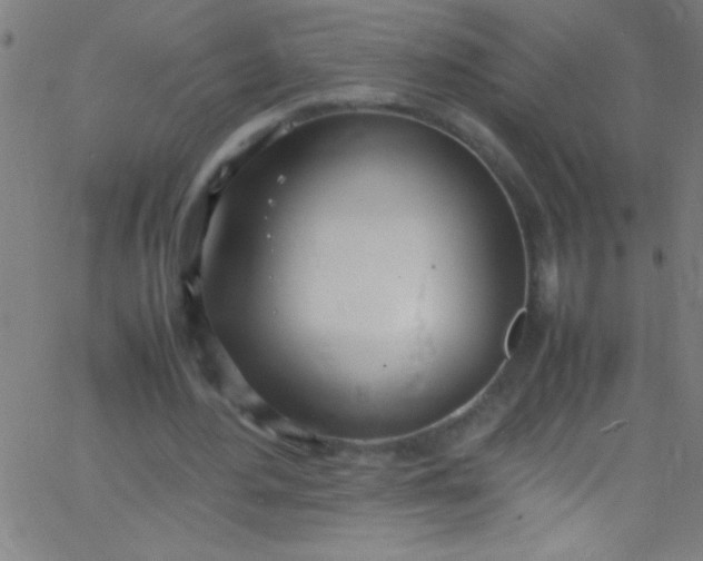 X0000067950484200604272103