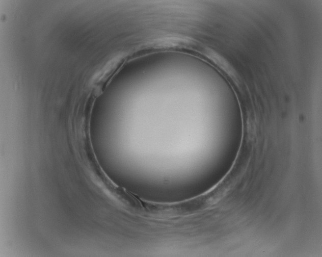 X0000067950485200604272103