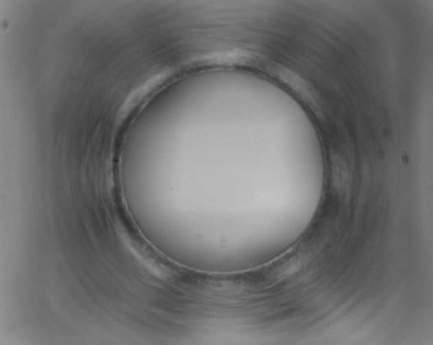 X0000067950486200604272103