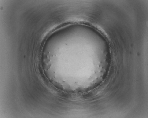 X0000067950487200604272103