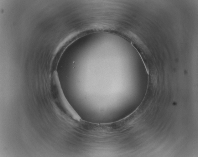 X0000067950488200604272103