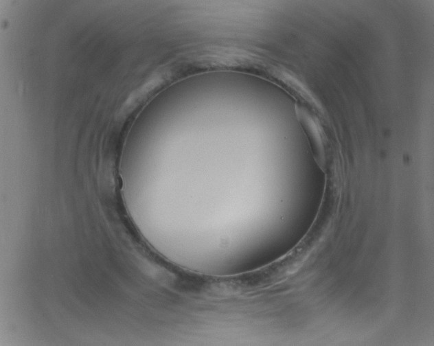 X0000067950489200604272103