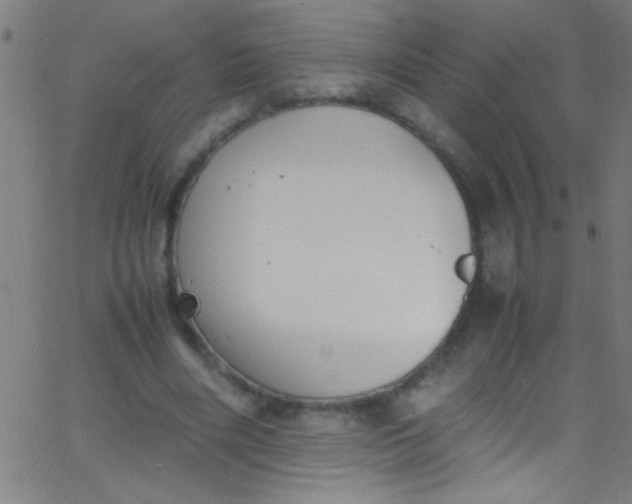 X0000067950490200604272103