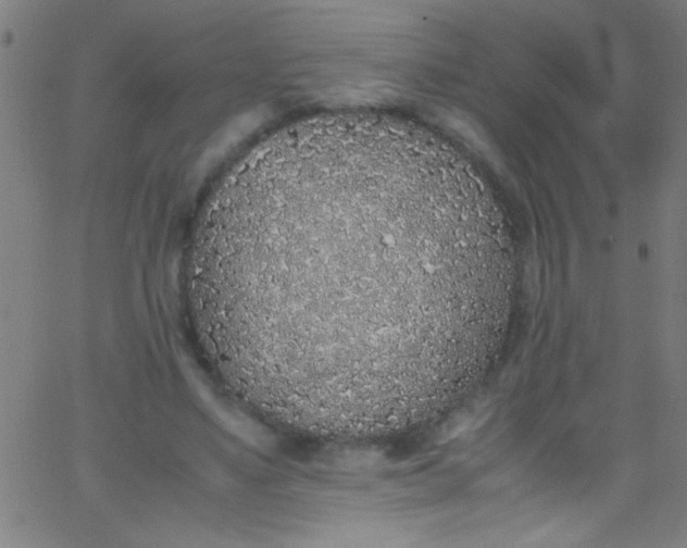 X0000067950491200604272103