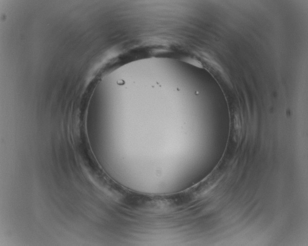 X0000067950492200604272103