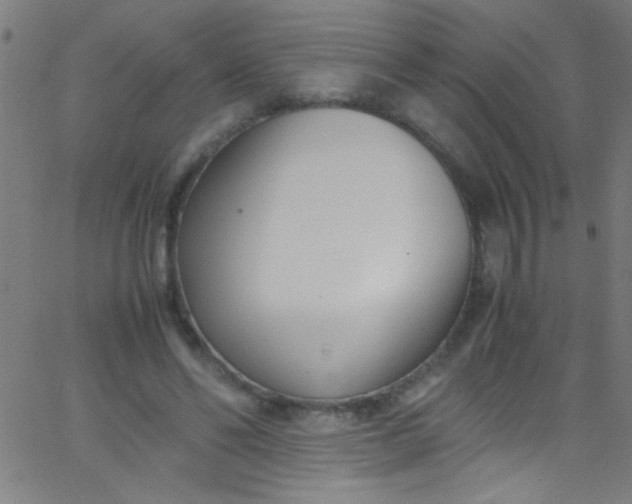 X0000067950494200604272103