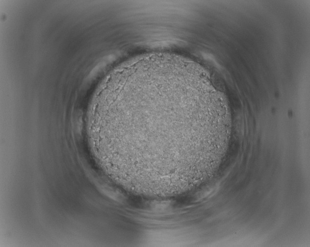 X0000067950495200604272103