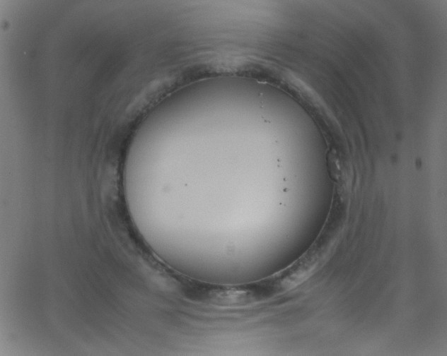 X0000067950497200604272103