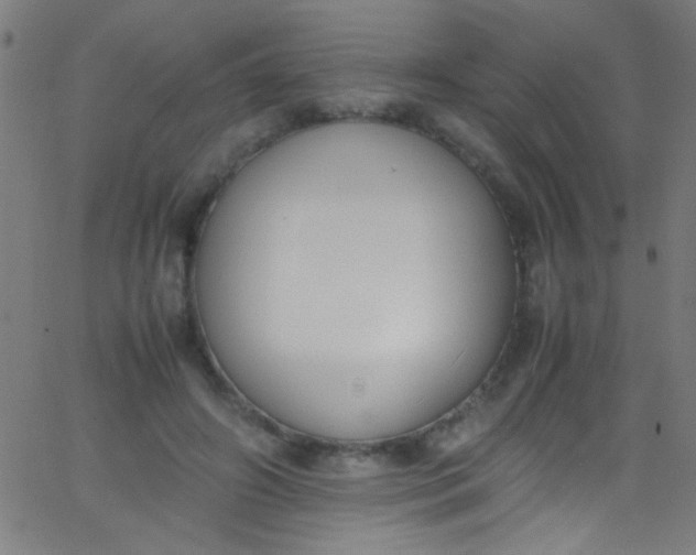 X0000067950498200604272103