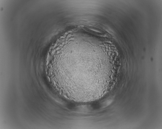 X0000067950499200604272103