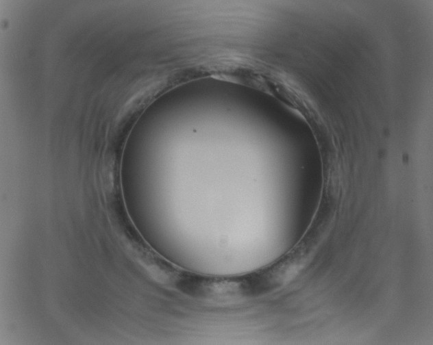 X0000067950501200604272103