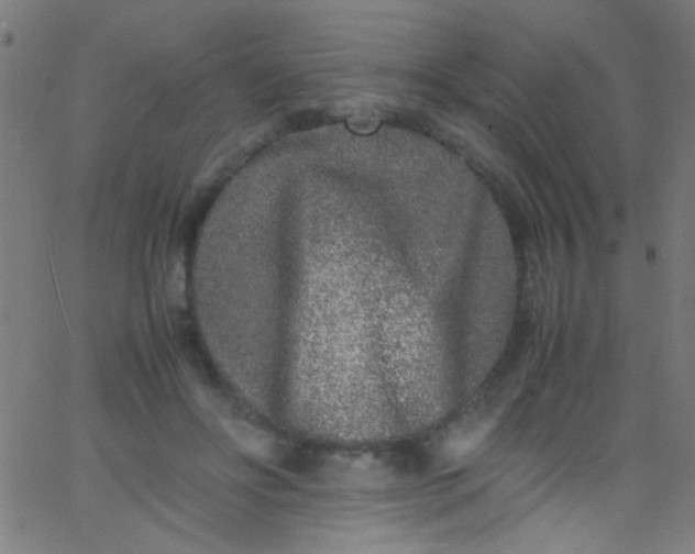 X0000067950502200604272103