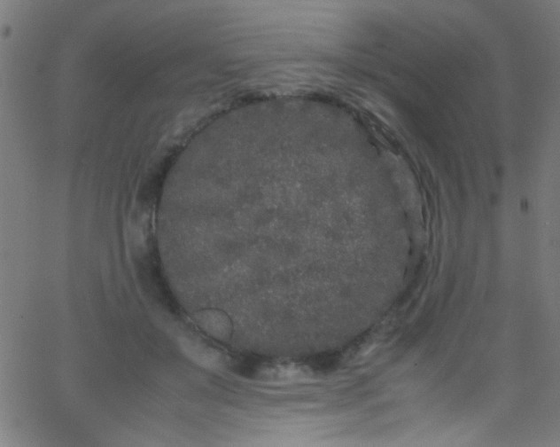 X0000067950503200604272103