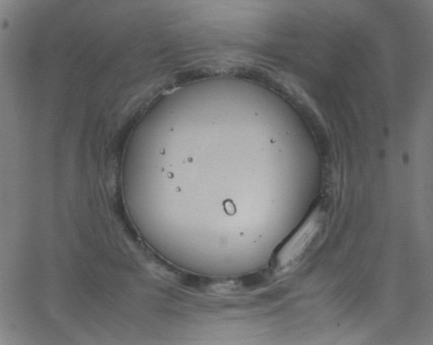 X0000067950505200604272103