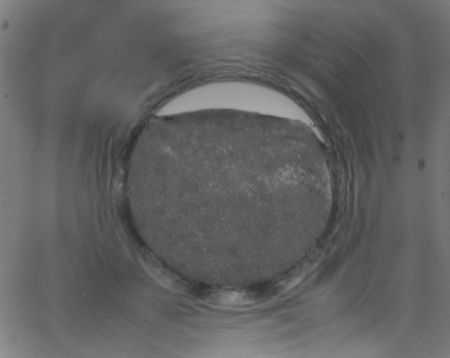 X0000067950507200604272103