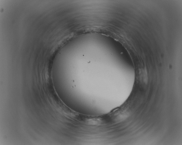 X0000067950508200604272103