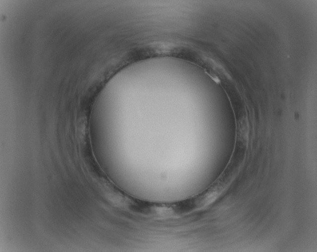 X0000067950509200604272103