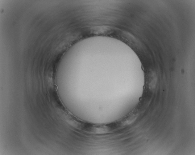 X0000067950510200604272103