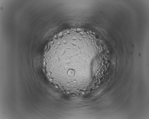 X0000067950511200604272103