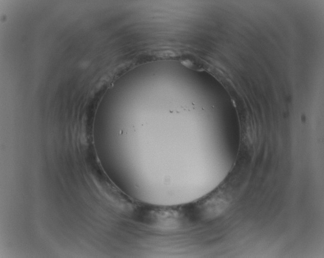 X0000067950512200604272103