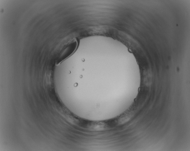 X0000067950514200604272103