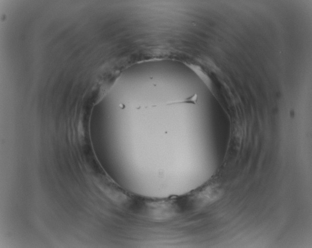 X0000067950516200604272103