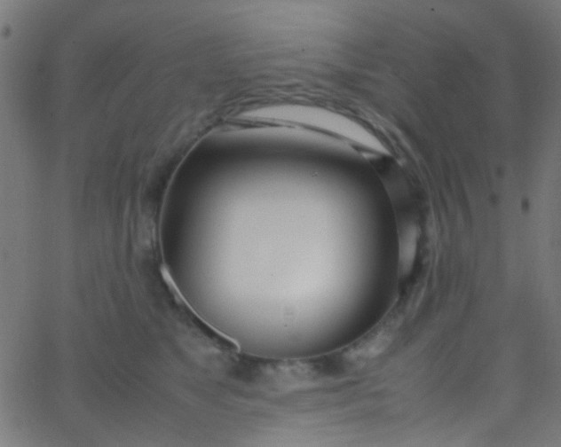 X0000067950517200604272103