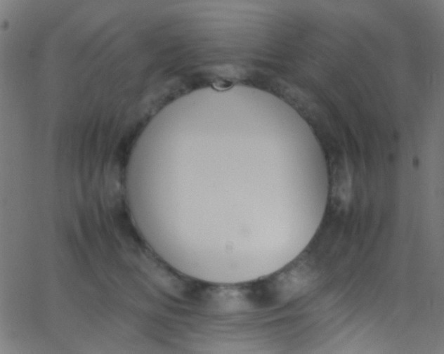 X0000067950518200604272102