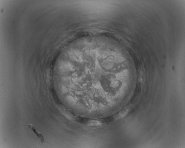 X0000067950519200604272102