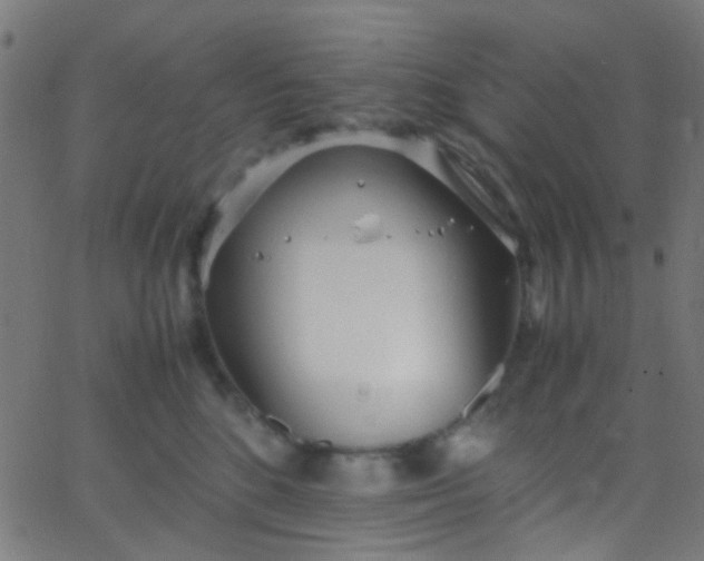 X0000067950520200604272102