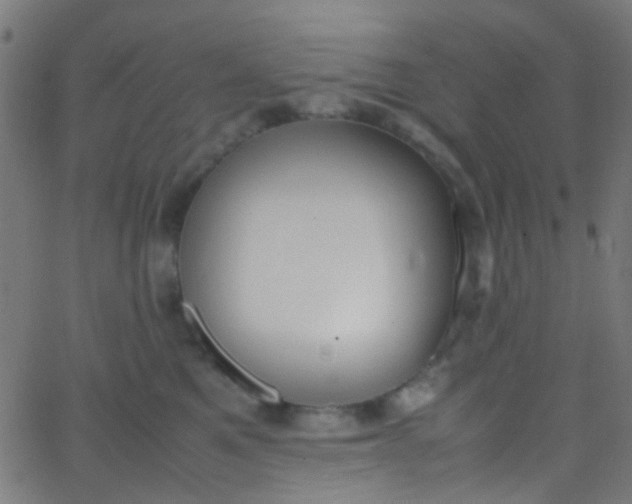 X0000067950521200604272102