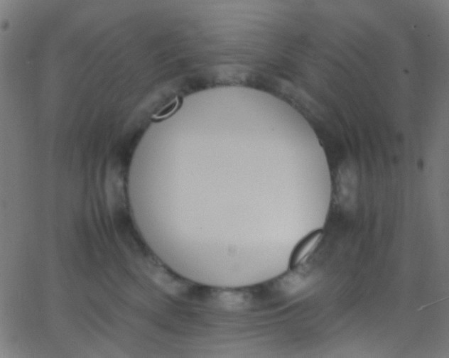 X0000067950522200604272102