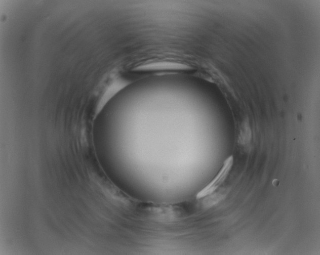 X0000067950524200604272102