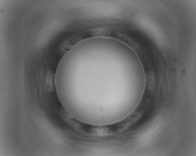 X0000067950525200604272102