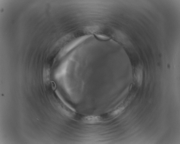 X0000067950526200604272102