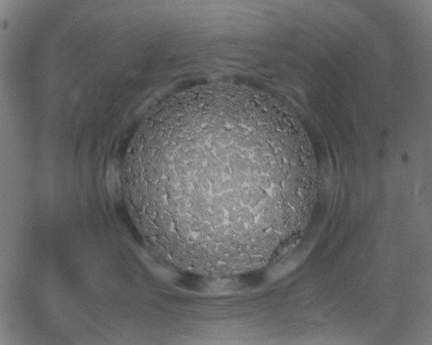 X0000067950527200604272102