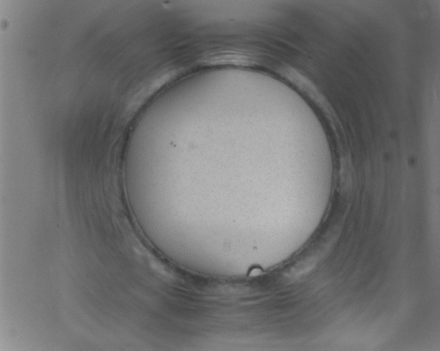 X0000067950529200604272102