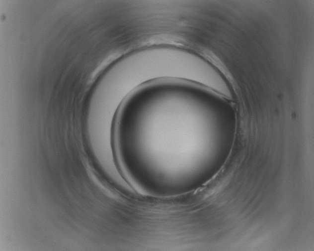 X0000067950530200604272102